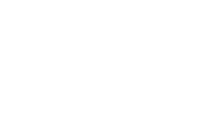 WiseLink Logo